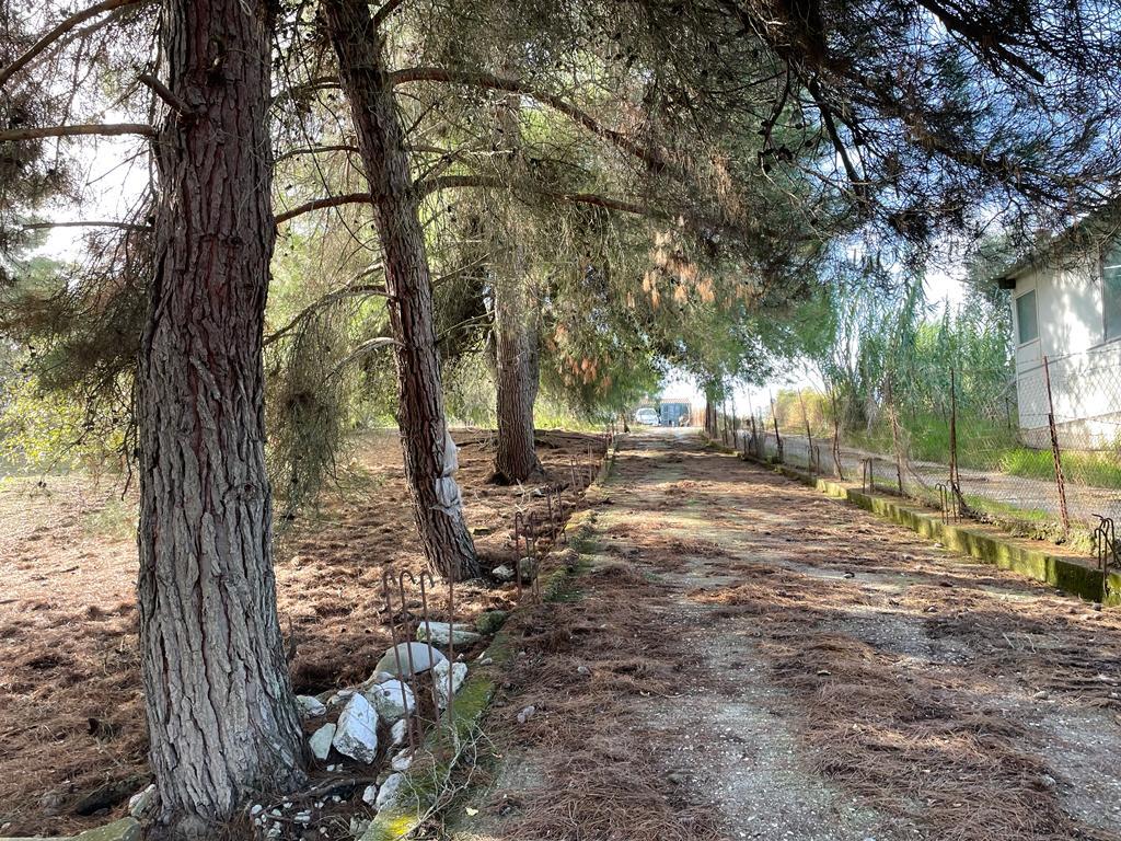 Terreno a Corfù, Grecia, 8 500 m2 - foto 13