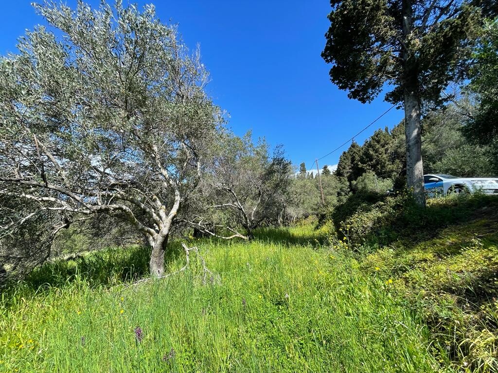 Terreno a Corfù, Grecia, 9 150 m2 - foto 13