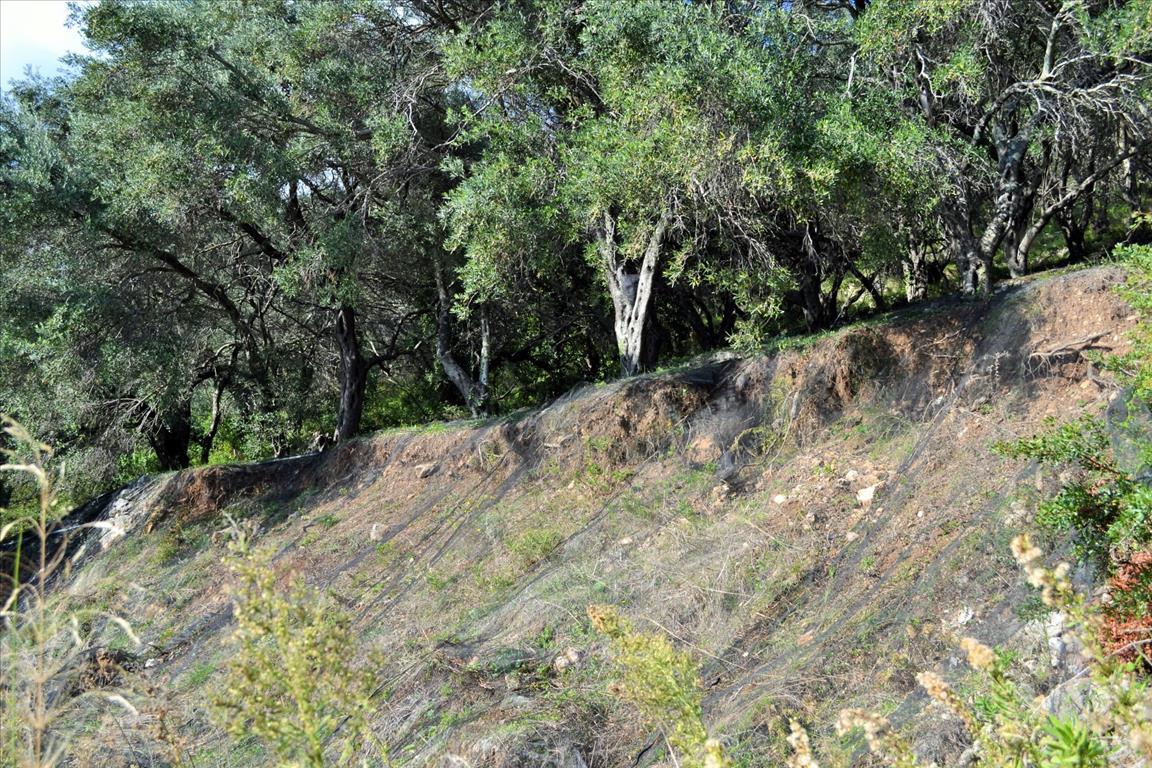 Terreno a Corfù, Grecia, 14 530 m2 - foto 13