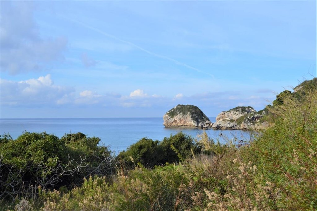 Land in Corfu, Greece, 10 959 m² - picture 13