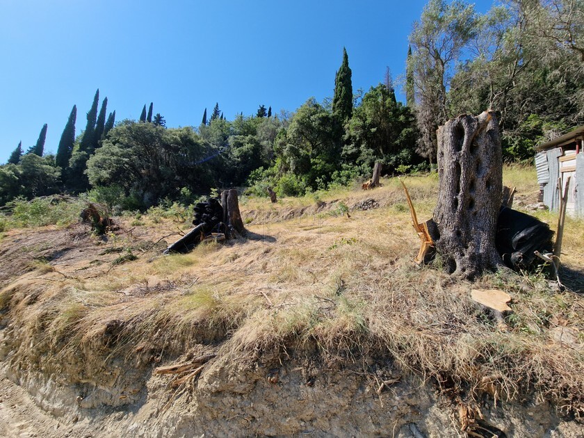 Terreno en Corfú, Grecia, 8 500 m² - imagen 13