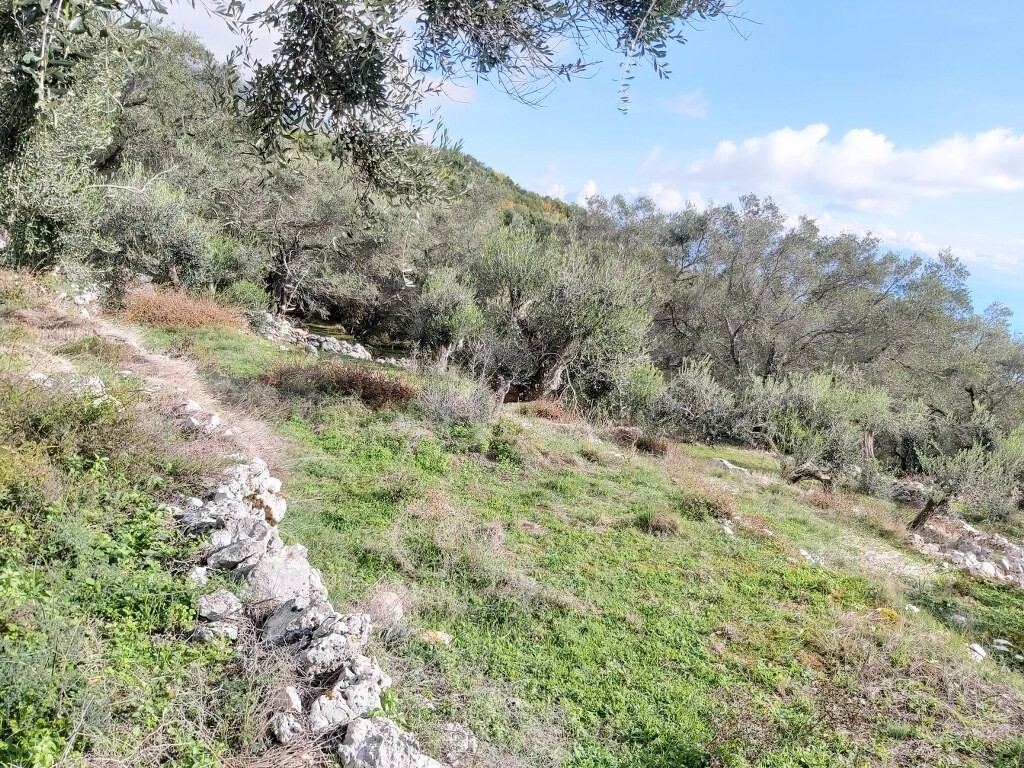 Grundstück in Korfu, Griechenland, 9 500 m² - Foto 13