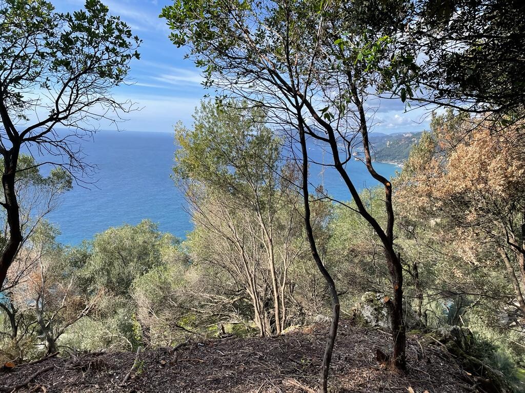 Terreno a Corfù, Grecia, 6 260 m2 - foto 13