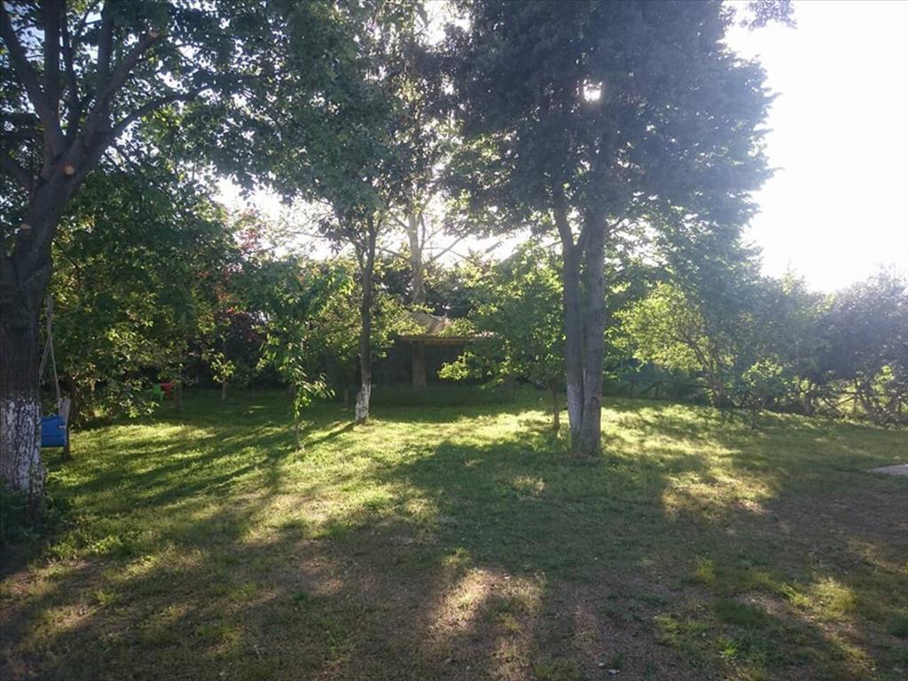 Villa en Olympiaki Akti, Grecia, 400 m² - imagen 13