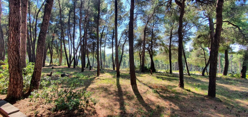 Villa in Kassandra, Griechenland, 440 m² - Foto 13