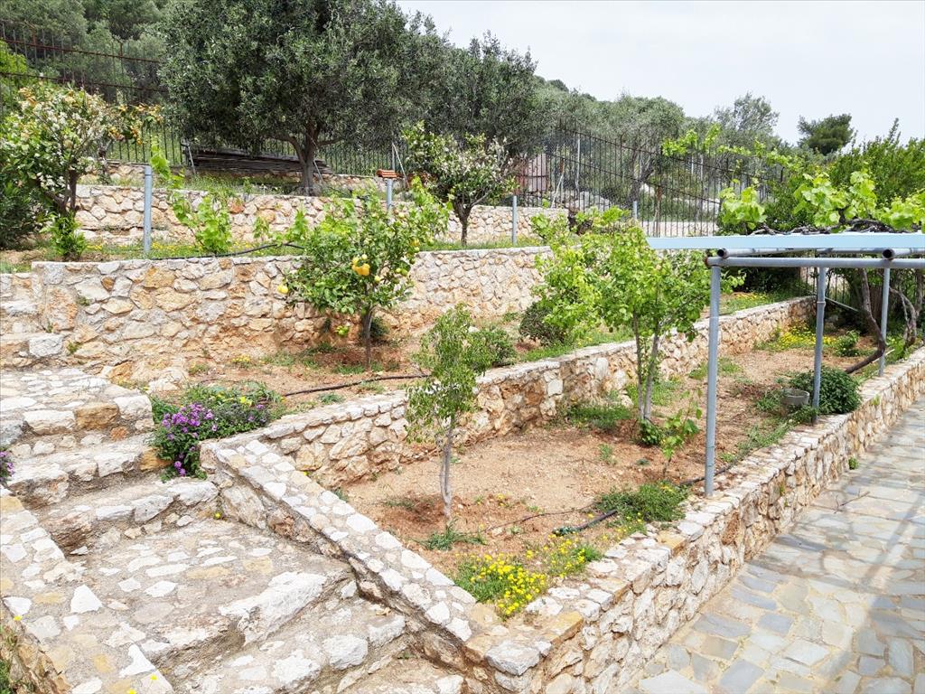 Maisonnette en Attique, Grèce, 220 m² - image 13