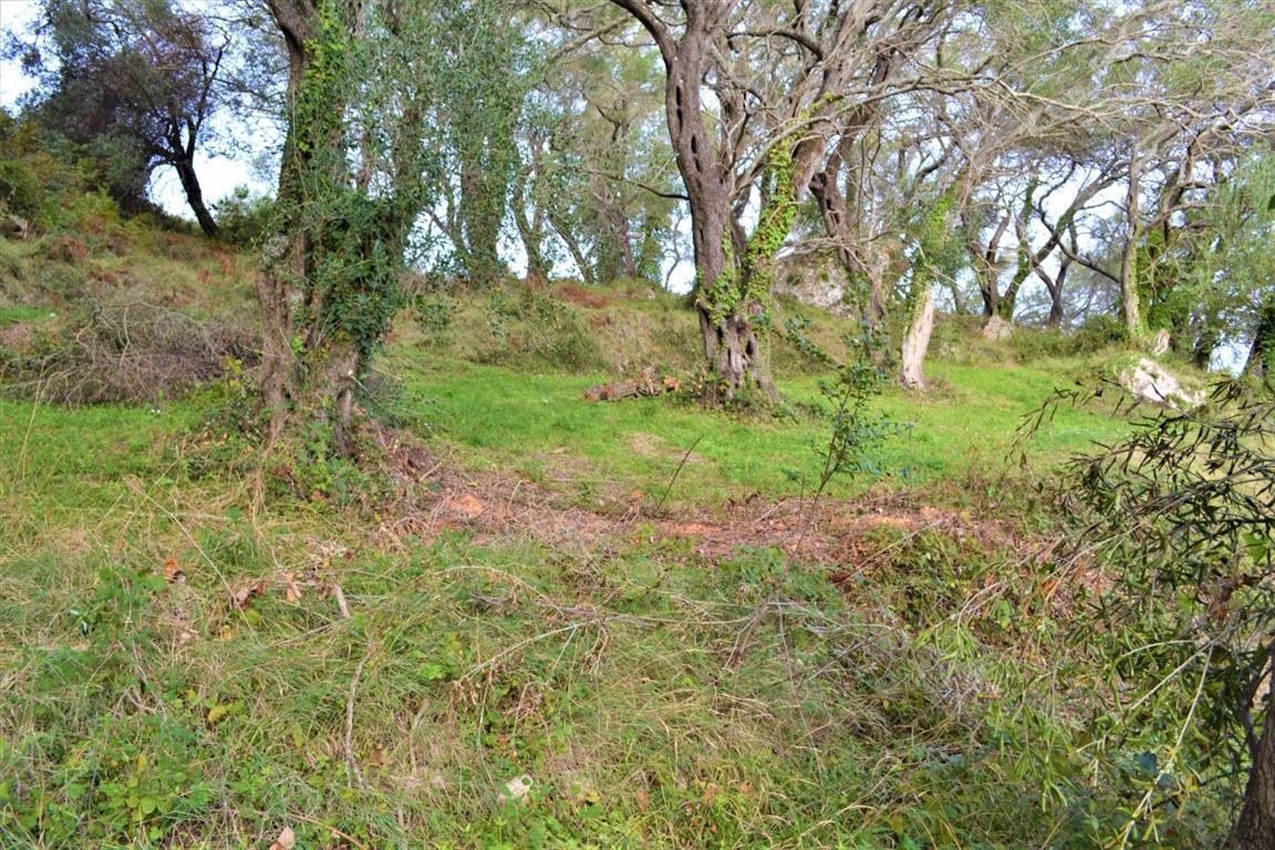 Terreno en Corfú, Grecia, 3 136 m² - imagen 13