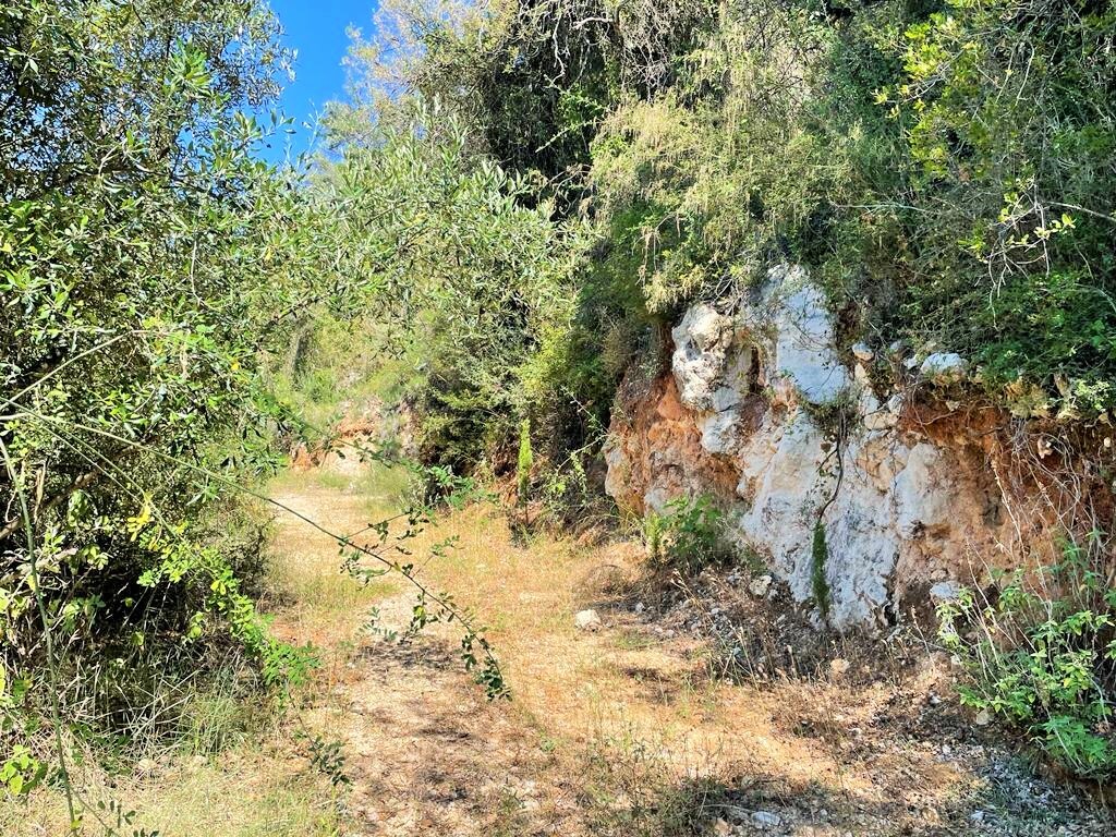 Terreno a Corfù, Grecia, 90 000 m2 - foto 13