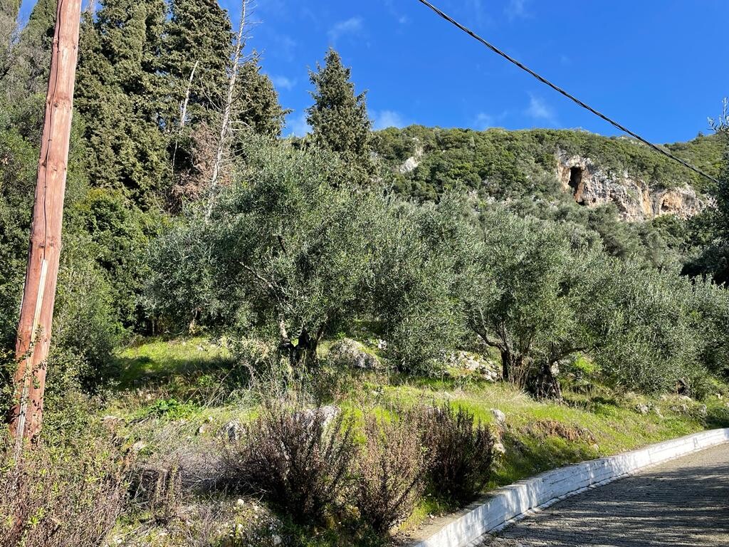 Land in Corfu, Greece, 4 000 m² - picture 13