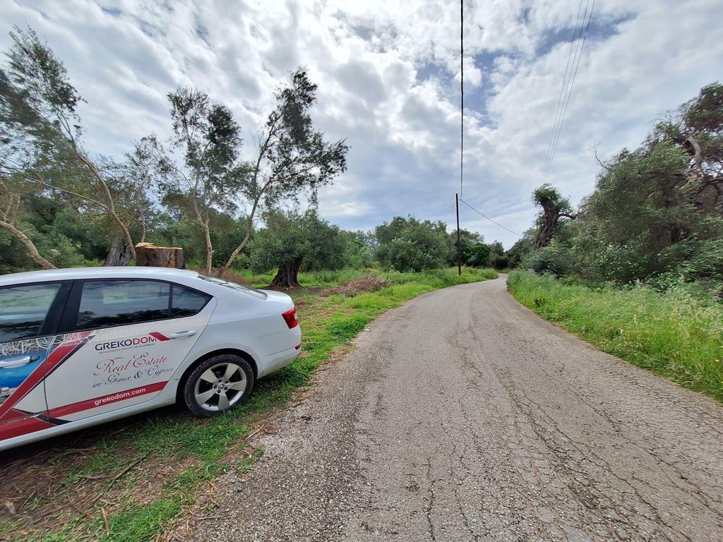 Land in Corfu, Greece, 7 000 m² - picture 13