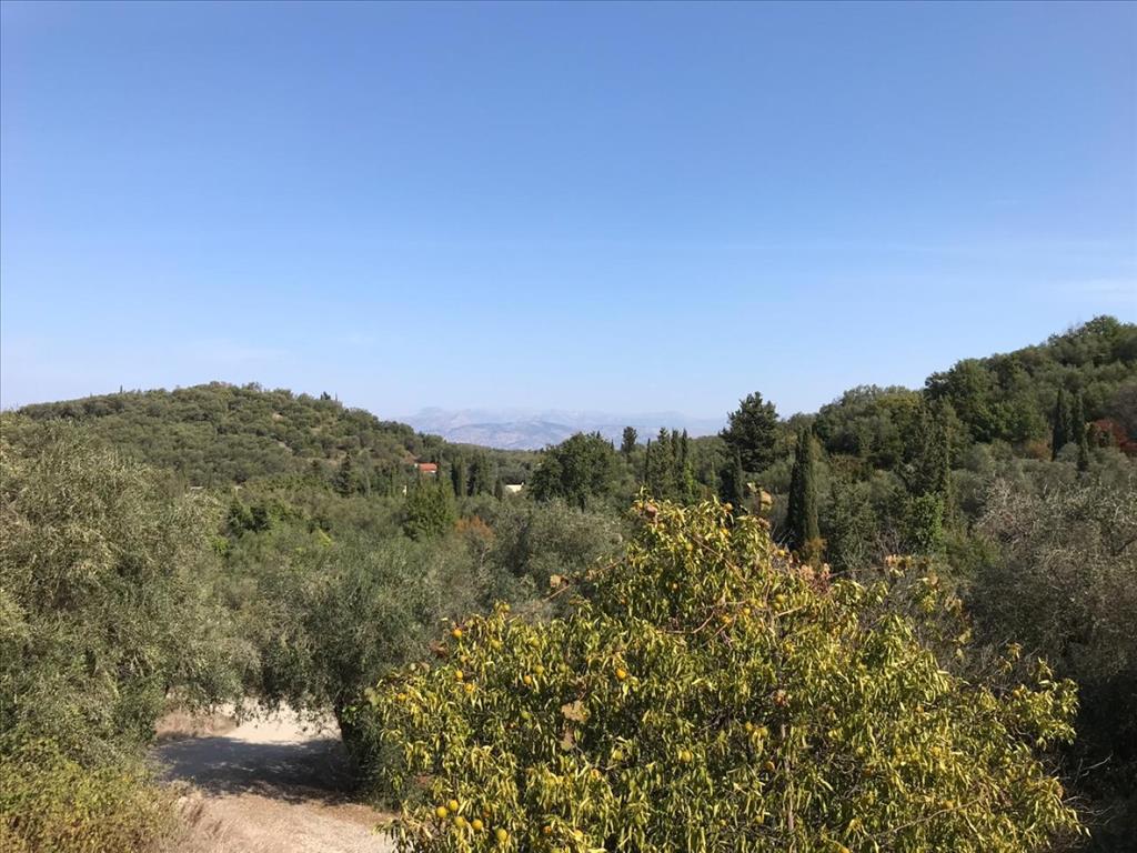 Grundstück in Korfu, Griechenland, 4 000 m² - Foto 13