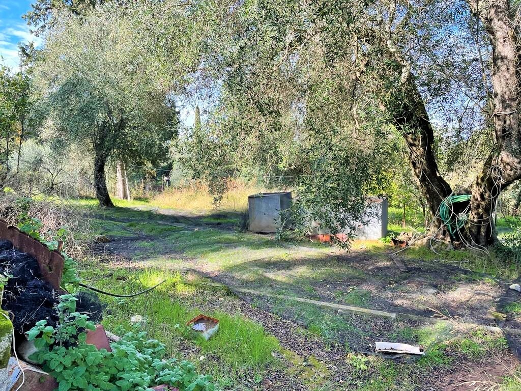 Maison à Corfou, Grèce, 190 m² - image 13