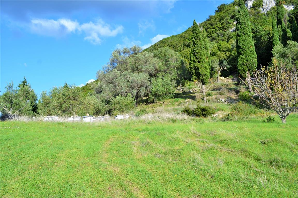 Terrain à Corfou, Grèce, 15 000 m² - image 14