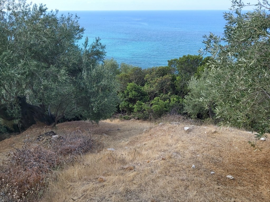 Terreno a Corfù, Grecia, 8 600 m2 - foto 14