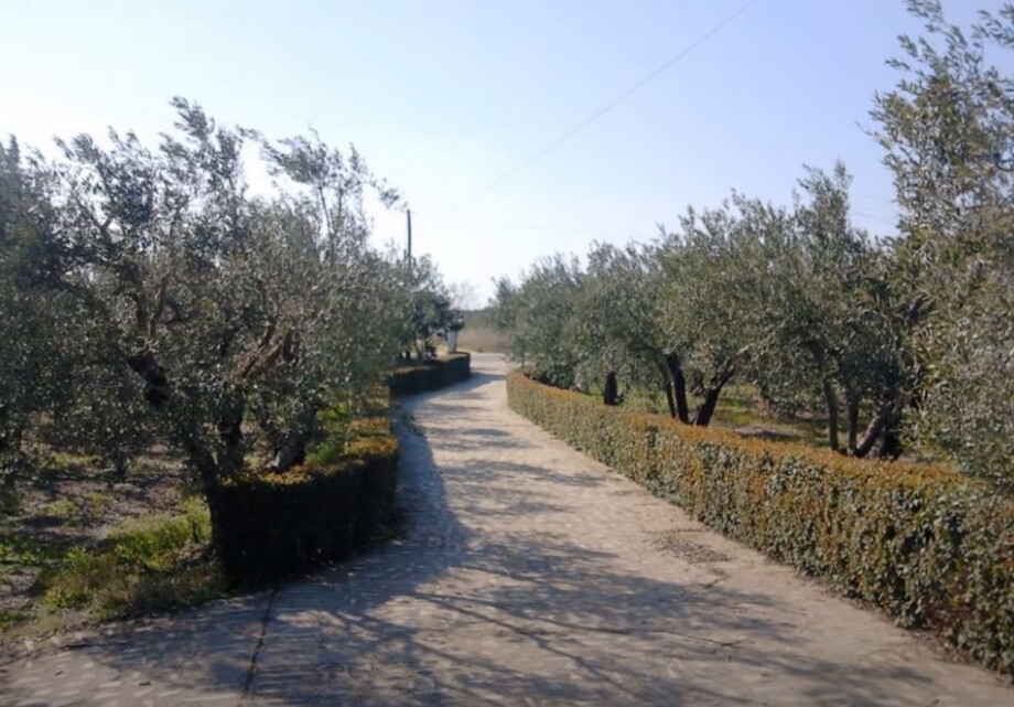 House in Chalkidiki, Greece, 342 m² - picture 14