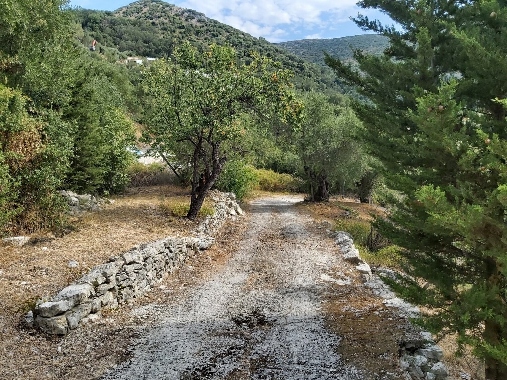 Land in Corfu, Greece, 18 000 m² - picture 14