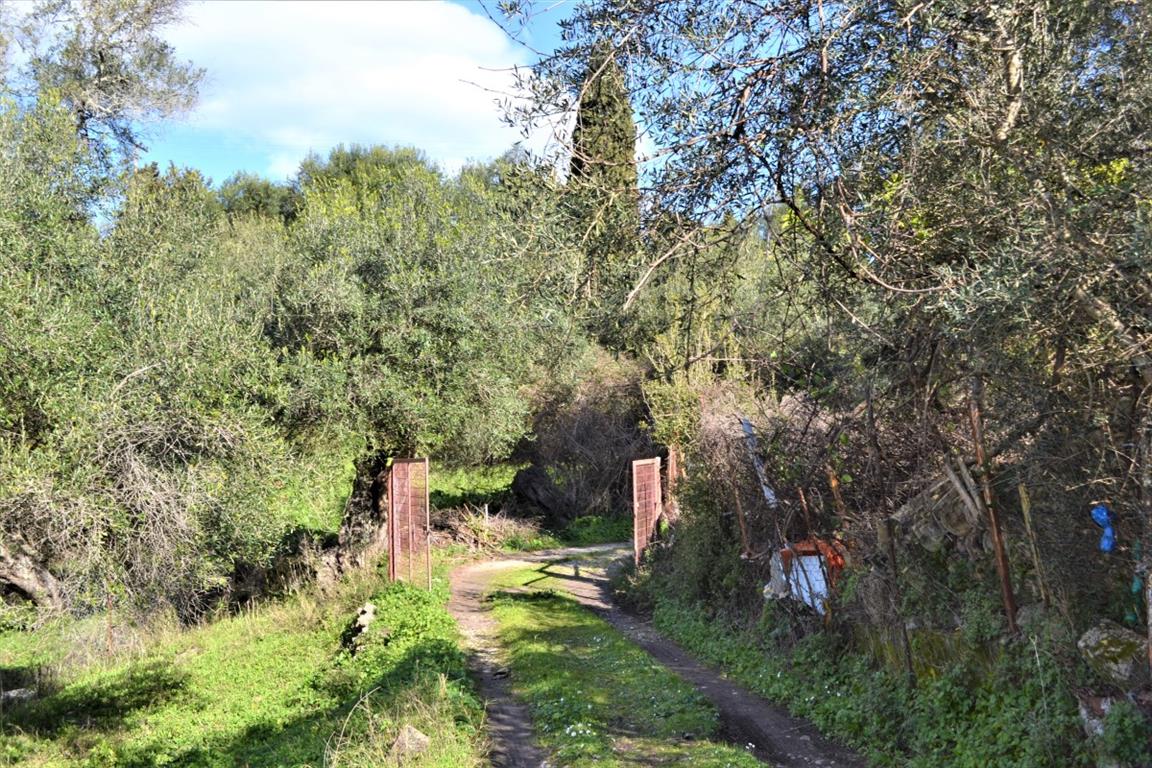 Terrain à Corfou, Grèce, 70 000 m² - image 14