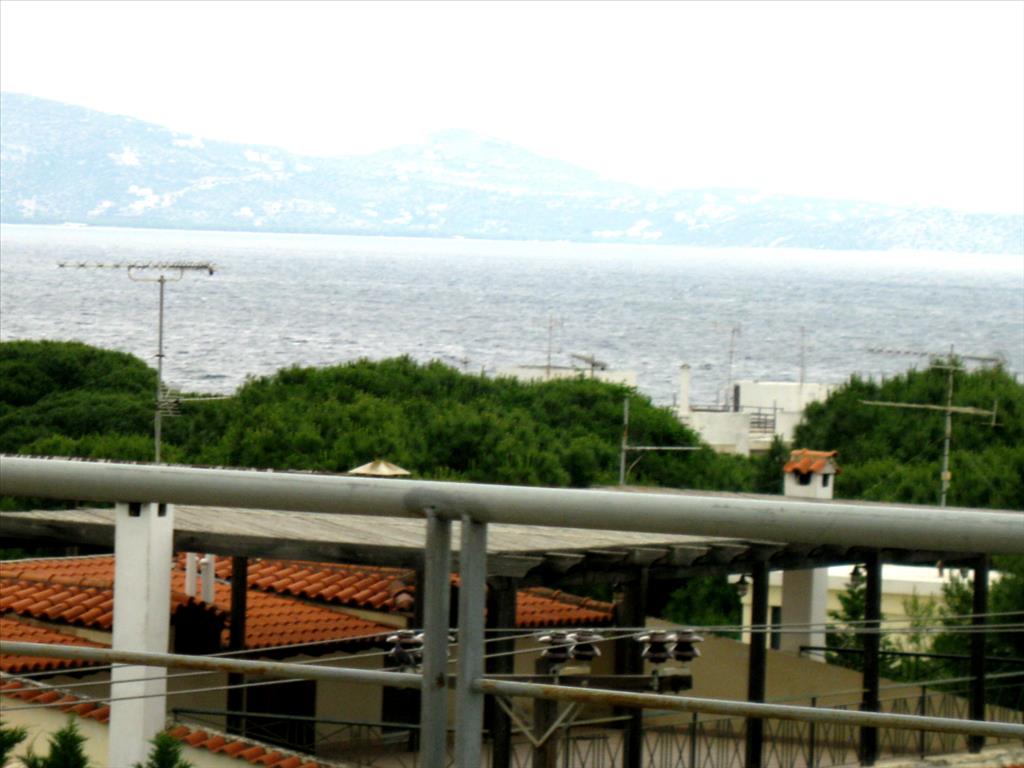 House in Attica, Greece, 430 m² - picture 14