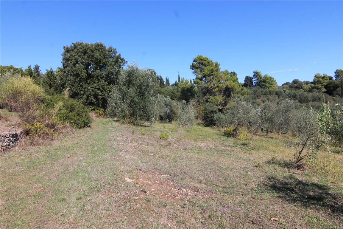 Land in Corfu, Greece, 27 750 m² - picture 14