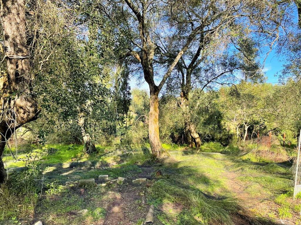 Maison à Corfou, Grèce, 190 m² - image 14