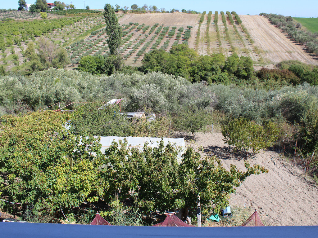 Casa a Olympiaki Akti, Grecia, 143 m² - foto 14