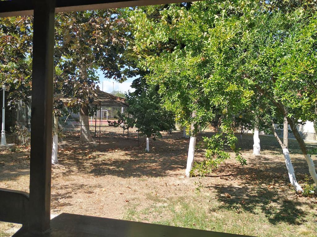 Villa en Olympiaki Akti, Grecia, 400 m² - imagen 14