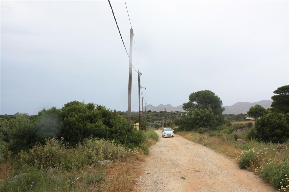 Terreno en Heraclión, Grecia, 5 900 m² - imagen 14