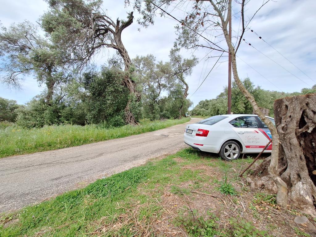 Land in Corfu, Greece, 7 000 m² - picture 14