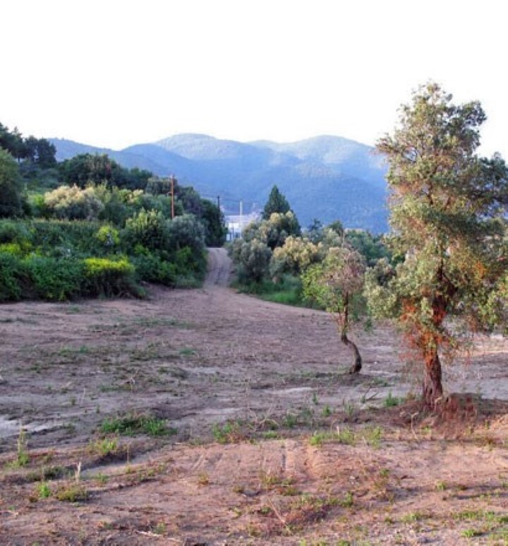 Land in Chalkidiki, Greece, 3 521 m² - picture 14