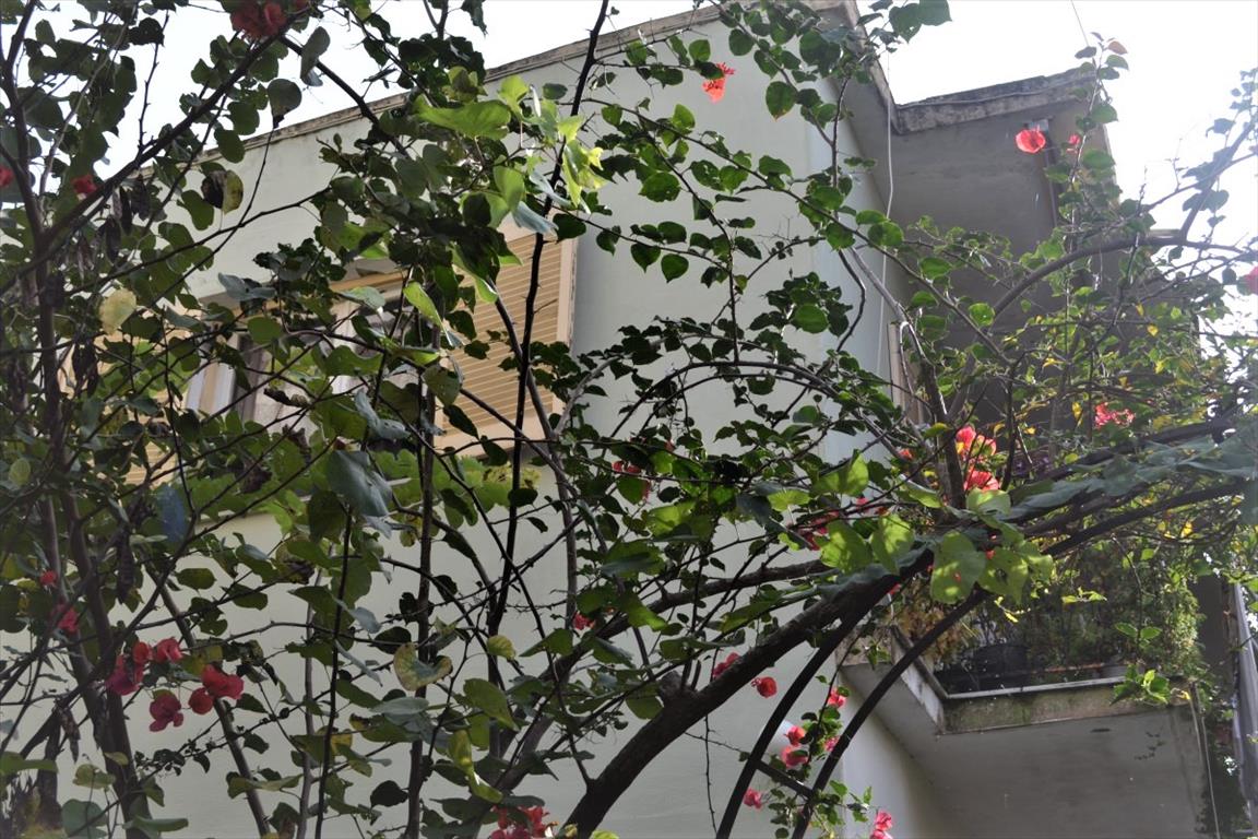 Haus in Korfu, Griechenland, 365 m² - Foto 14