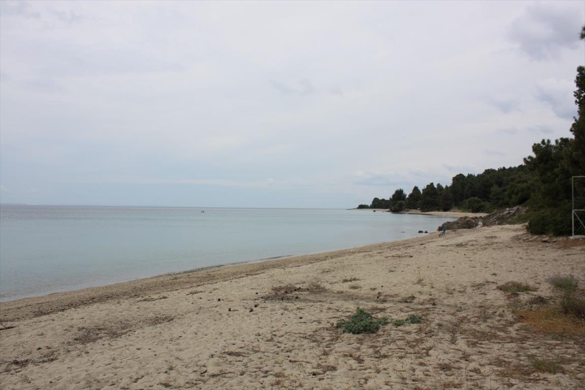 Terreno en Sitonia, Grecia, 6 000 m² - imagen 14