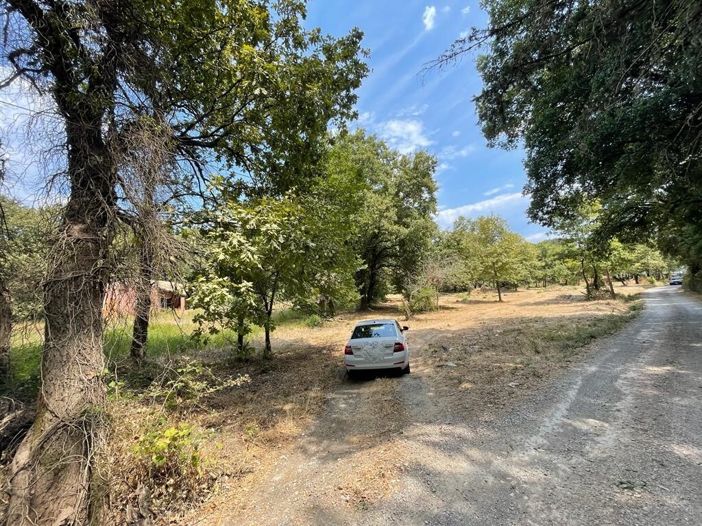 Land in Corfu, Greece, 4 850 m² - picture 14