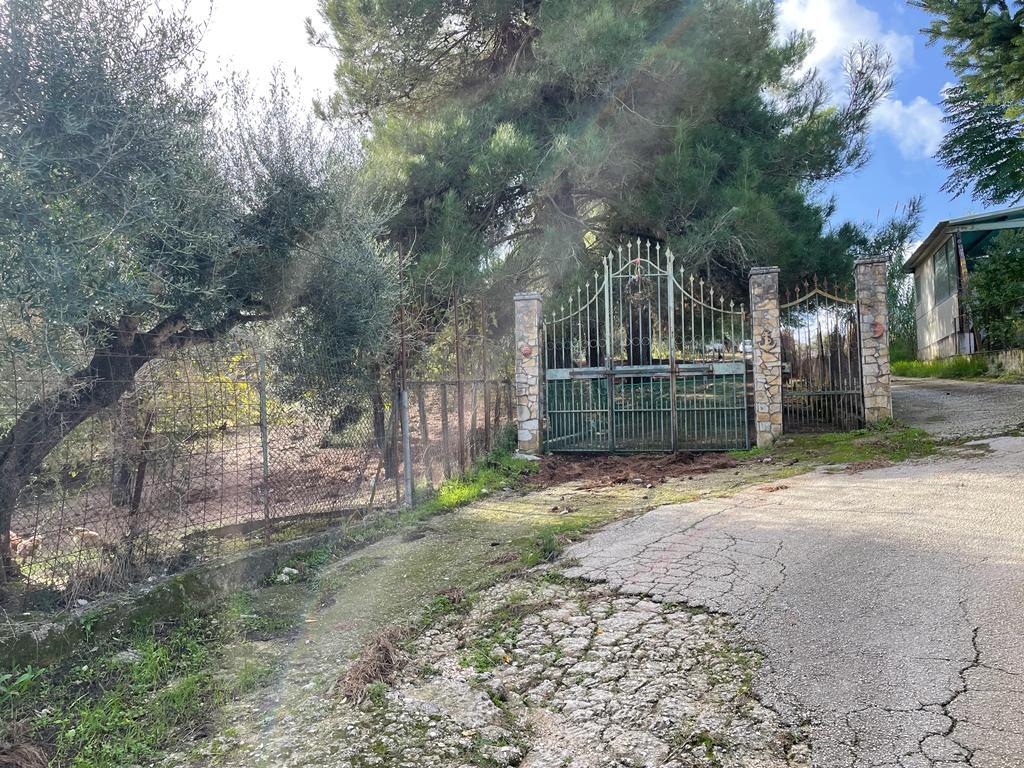 Terreno a Corfù, Grecia, 8 500 m2 - foto 14