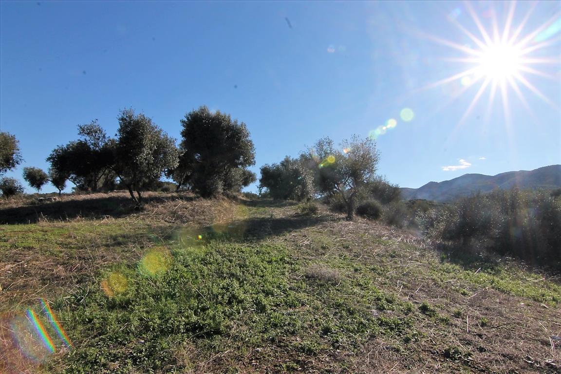 Grundstück in Korfu, Griechenland, 41 000 m² - Foto 14