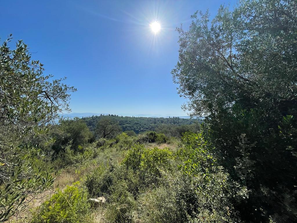 Terreno a Corfù, Grecia, 2 569 m2 - foto 14