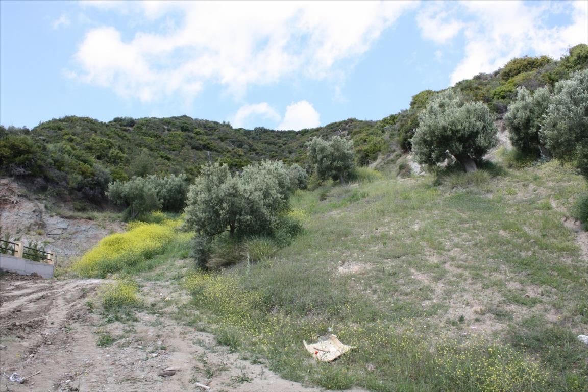 Terreno a Kassandra, Grecia, 23 000 m2 - foto 14