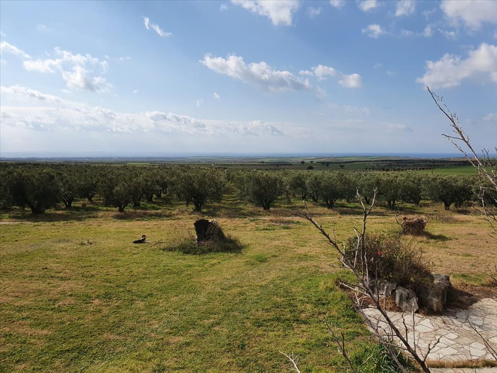 Haus in Chalkidiki, Griechenland, 400 m² - Foto 14