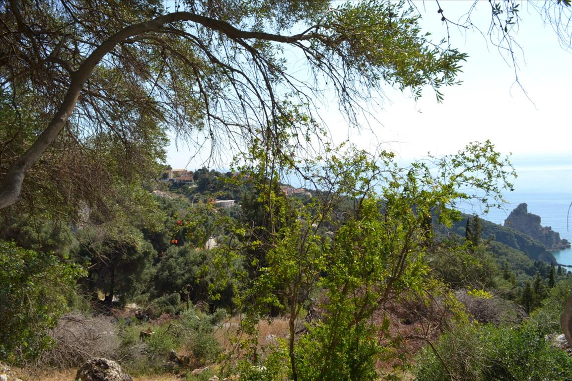Terreno a Corfù, Grecia, 6 260 m2 - foto 14