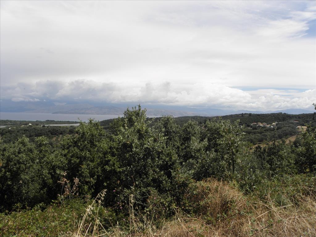 Terreno a Corfù, Grecia, 15 000 m2 - foto 14
