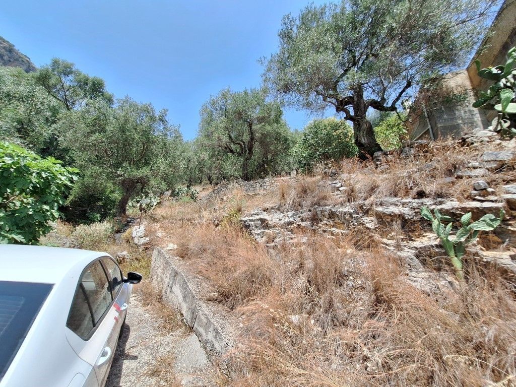 Terrain à Corfou, Grèce, 6 000 m² - image 14