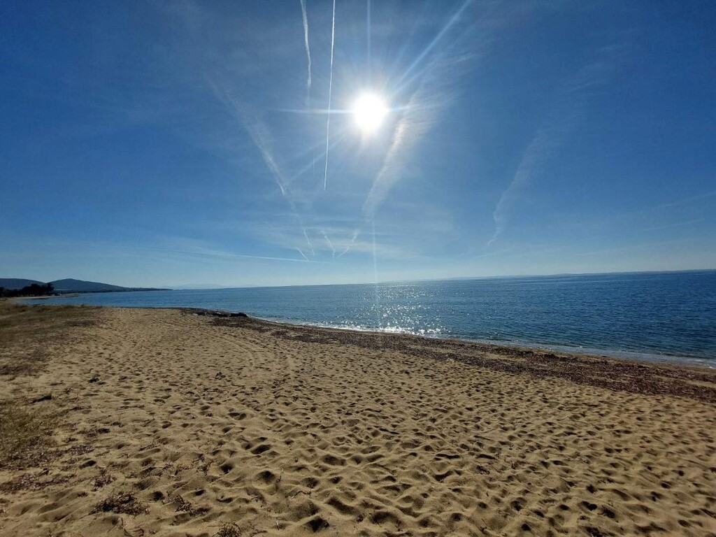 Land in Sithonia, Greece, 1 959 m² - picture 14