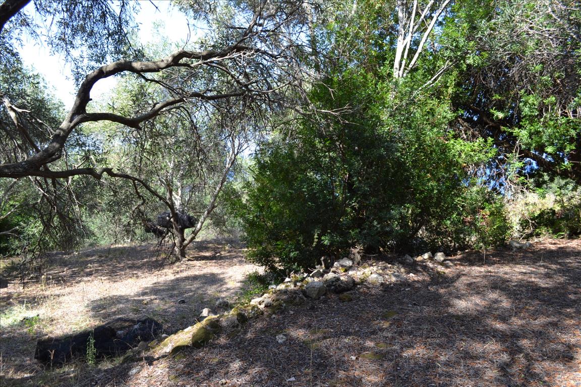 Terreno a Corfù, Grecia, 9 150 m2 - foto 15