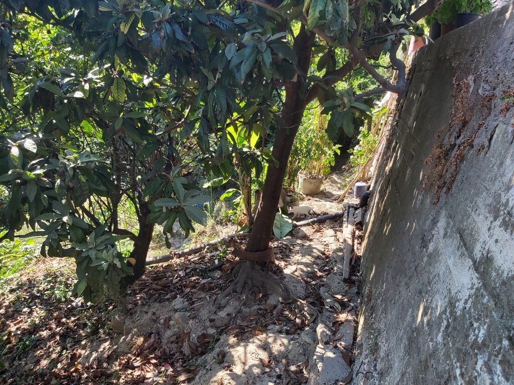 Maisonette en Corfú, Grecia, 106 m² - imagen 15