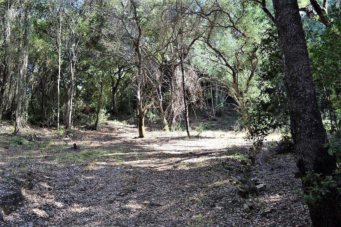 Land in Corfu, Greece, 33 000 m² - picture 15