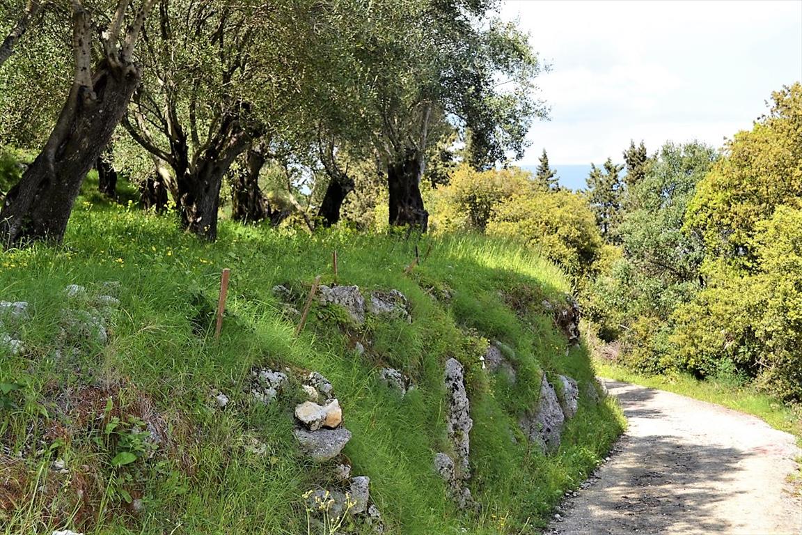 Terrain à Corfou, Grèce, 7 000 m² - image 15