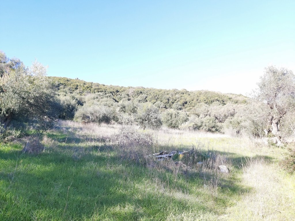 Grundstück in Korfu, Griechenland, 44 872 m² - Foto 15