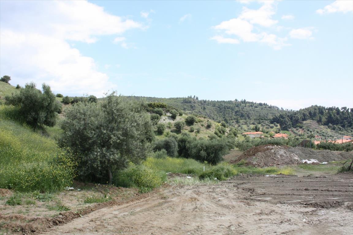 Terreno a Kassandra, Grecia, 23 000 m2 - foto 15
