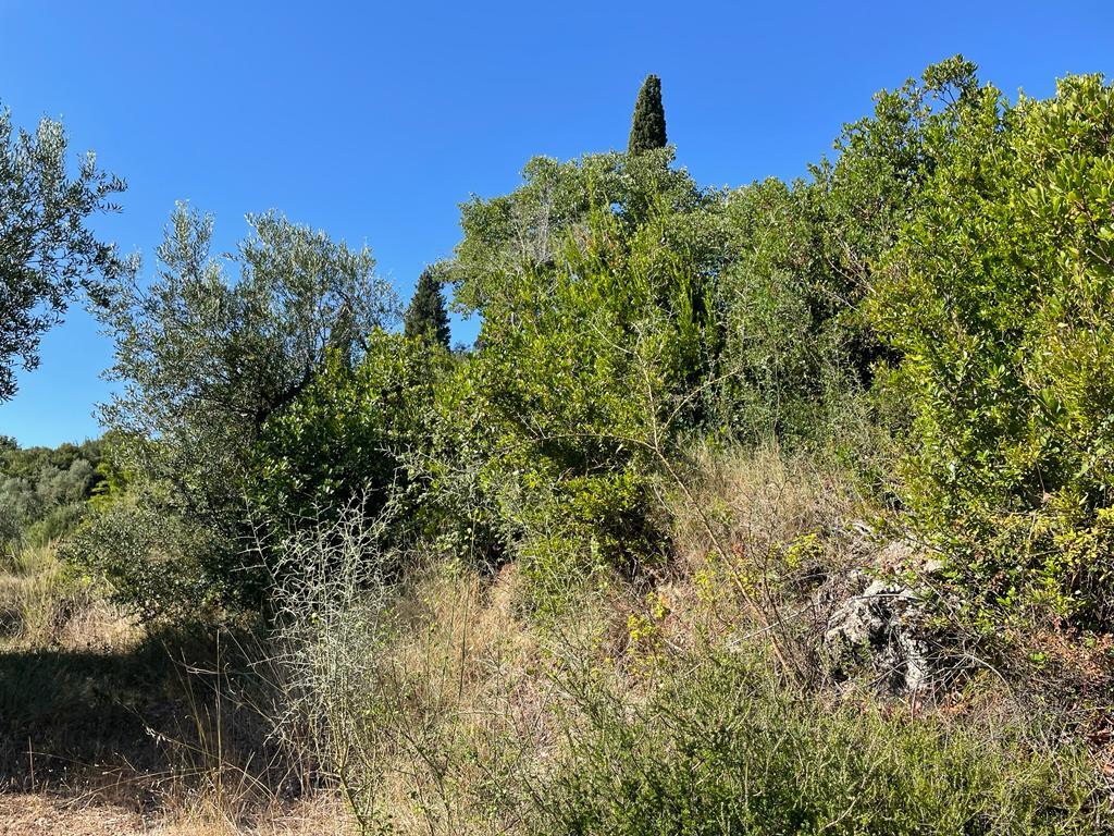 Terreno a Corfù, Grecia, 2 569 m2 - foto 15