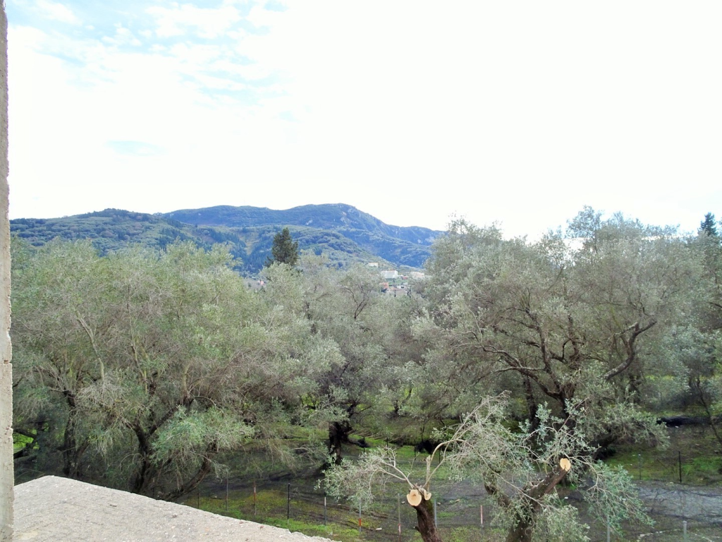 Maison à Corfou, Grèce, 240 m² - image 15