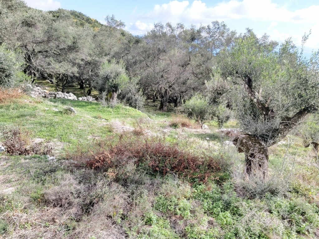 Grundstück in Korfu, Griechenland, 9 500 m² - Foto 15